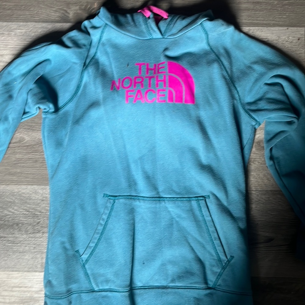 Purple and turquoise north face hoodie